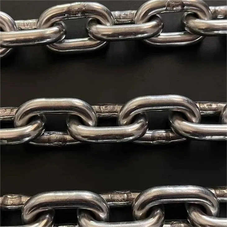 Lanț din oțel inoxidabil pe linia de transport agățată pentru sacrificarea păsărilor de curte