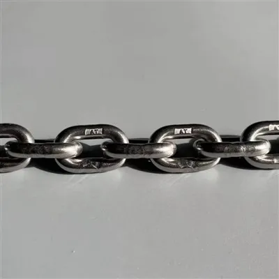 Lanț de linie automată de sacrificare