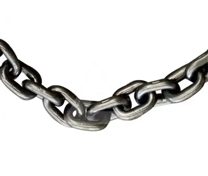 36020250213100532 36020250213100532